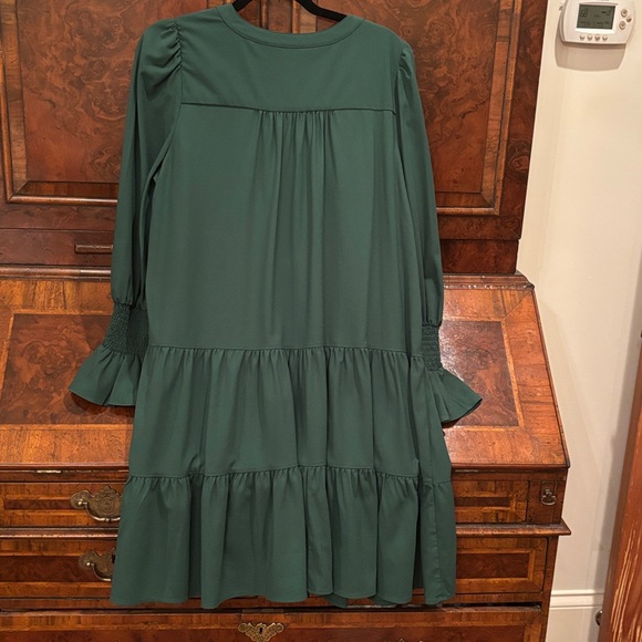 Tuckernuck Pomander Place dress. - Picture 4 of 4